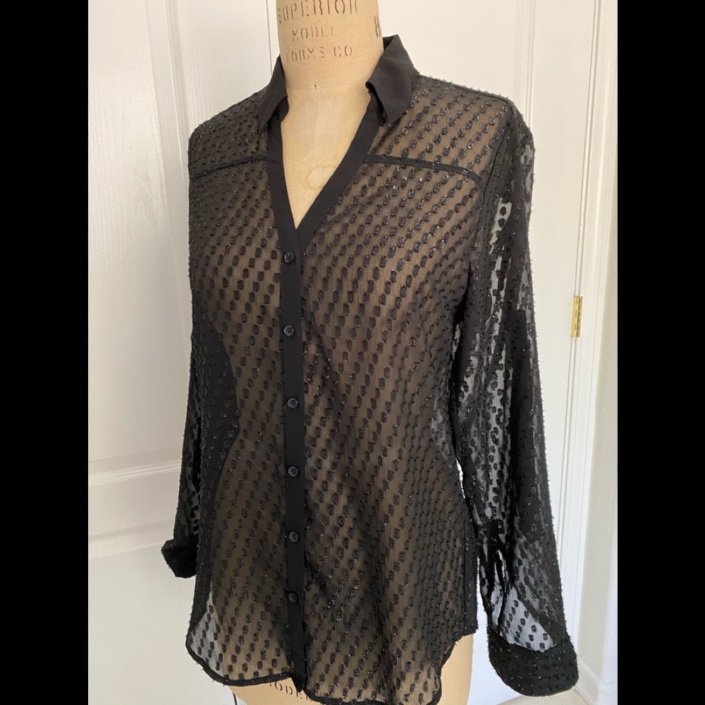 See Through Express Blouse